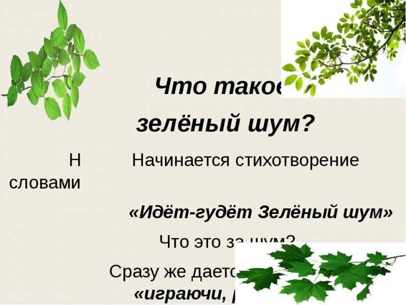 Николай некрасов - зеленый шум: читать стих, текст стихотворения полностью - классика на рустих