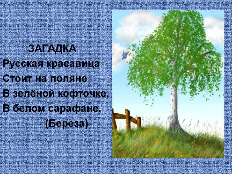 Презентация на тему презентация для  урока литературного  чтения  по  теме  :  к. д. ушинский  "спор   деревьев".