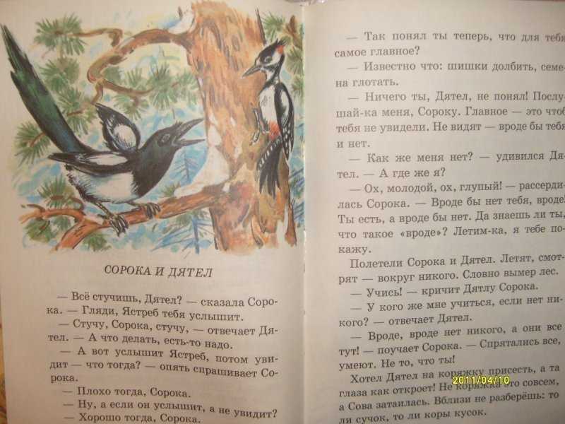 Лесные сказки 2 - николай сладков - страница 2 из 4 - stranakids.ru