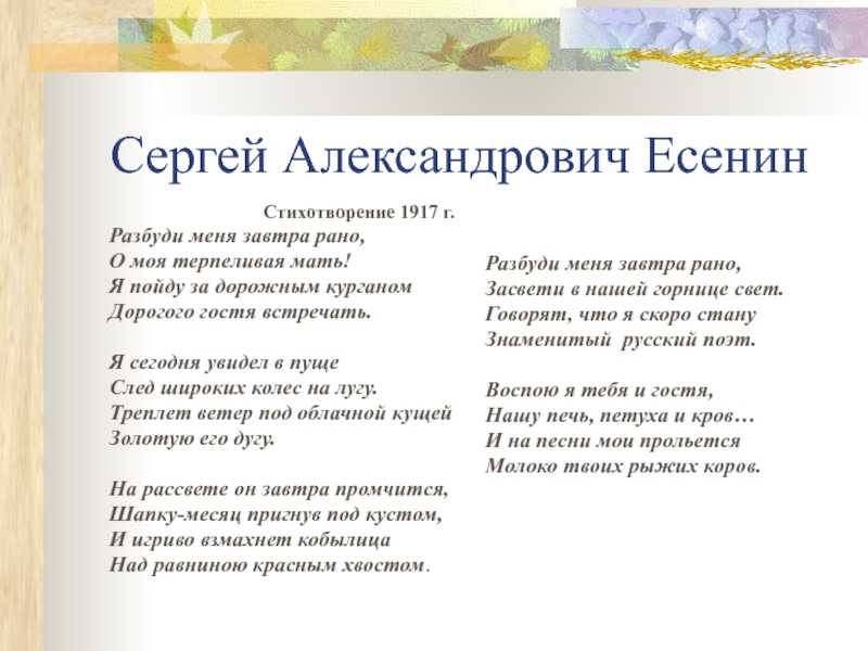 С. а. есенин “разбуди меня завтра рано…”: анализ стихотворения