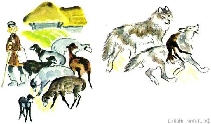 По законам волчьей стаи… как живется в семье волков?
