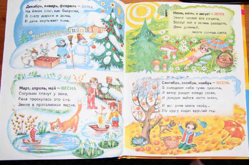 Урок по литературному чтению на тему "осенний лес" по соколову -микитову.
