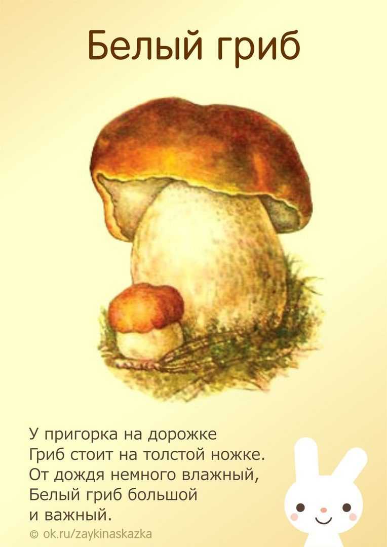 Стихи про грибы для детей | короткие и красивые стихи для 6-7 лет, 1-2 класса о грибах, про лес, лисички