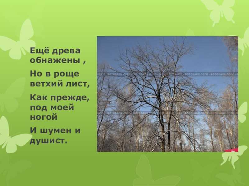 Анализ стихотворения баратынского «весна, весна! как воздух чист!…» :: сочинение по литературе на сочиняшка.ру