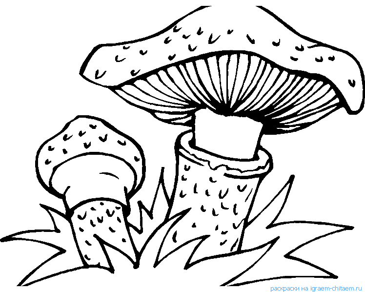 Дидактический материал по теме «грибы. ягоды» 3-5 лет - plandou.ru