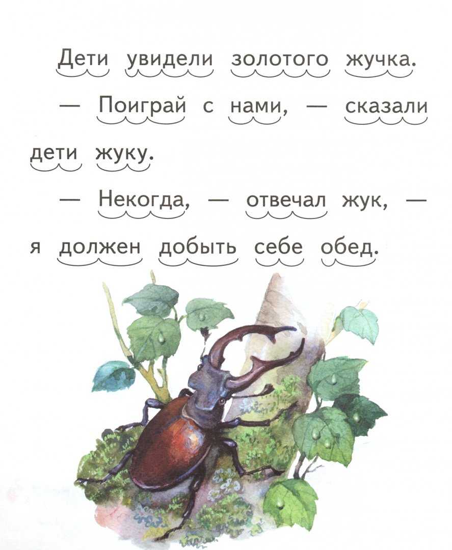 Кто такие насекомые? стр. 32 - 33. окружающий мир 1 класс 1 часть