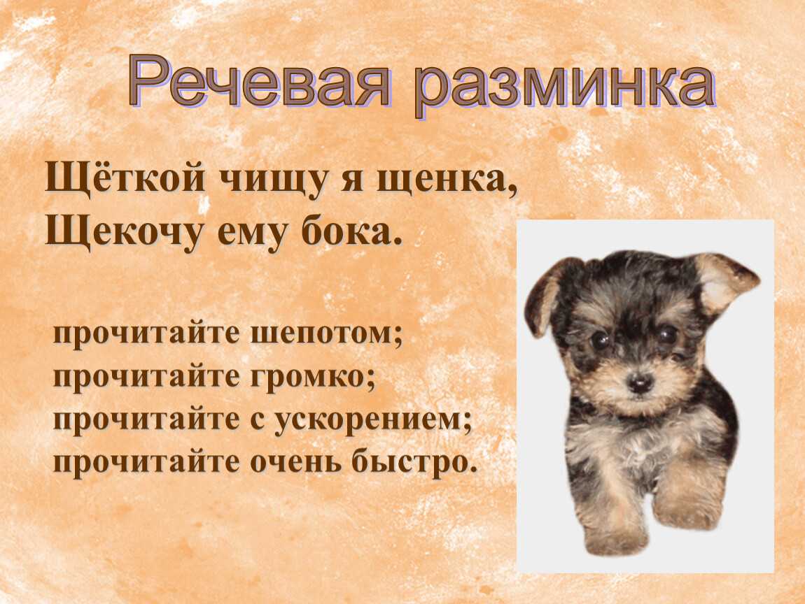 Наша жучка — краткое содержание рассказа дурова