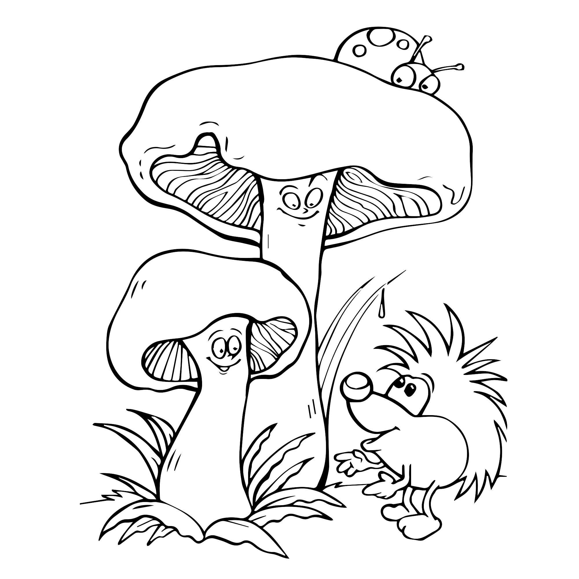 Раскраска грибы (44 картинки для детей). | семейная кучка