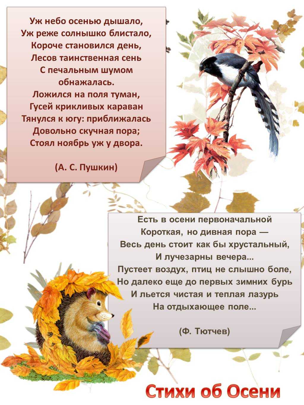 Красивые, интересные стихи про осень на конкурс чтецов для детей