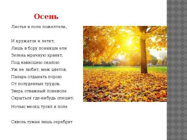 «осень (листья в поле пожелтели…)» михаил лермонтов: читать текст, анализ стихотворения