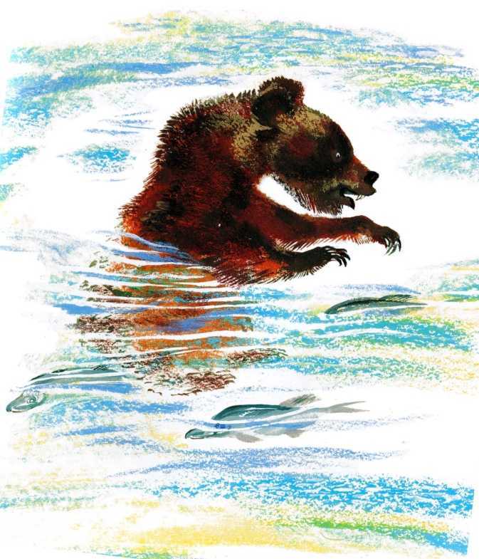 Медведь-рыбак - Чарушин ЕИ Рассказ про то, как на Камчатке рыба заходит из моря в речку и ручьи на нерест Идёт рыба табунами, косяками, стаями