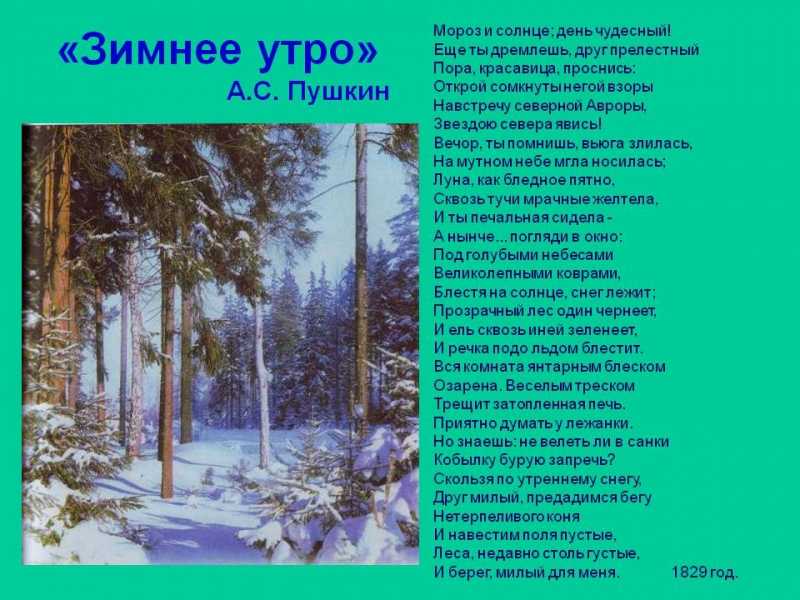 Стихи пушкина про зиму