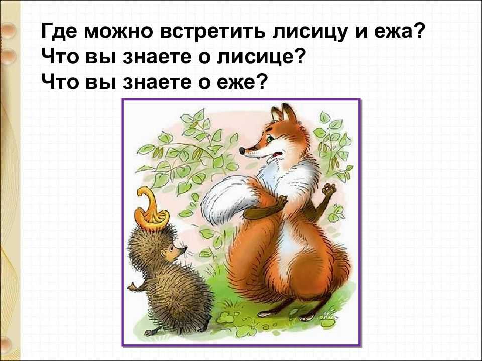 Лесные тайнички (осень) - николай сладков - страница 7 из 7 - stranakids.ru