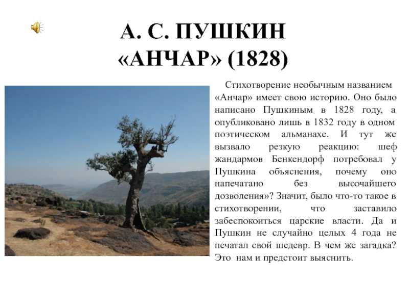 «анчар (в пустыне чахлой и скупой…)» александр пушкин: читать текст, анализ стихотворения