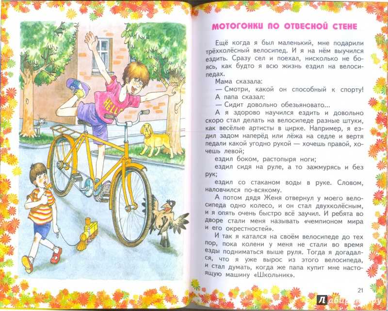 Птицы, которые поют по ночам