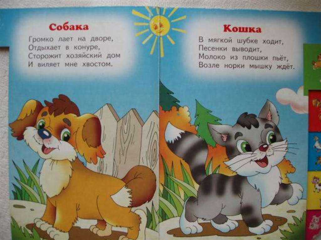Стихи о животных для детей | стихи о диких домашних животных для детей 3-4, 5-6 лет