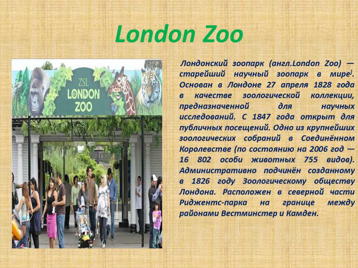 Сочинение на тему поход в зоопарк