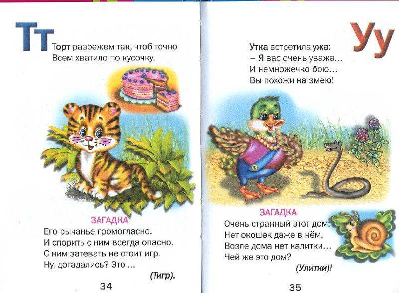 Загадки про тигра для детей — смешные, простые и сложные, прикольные головоломки с ответами