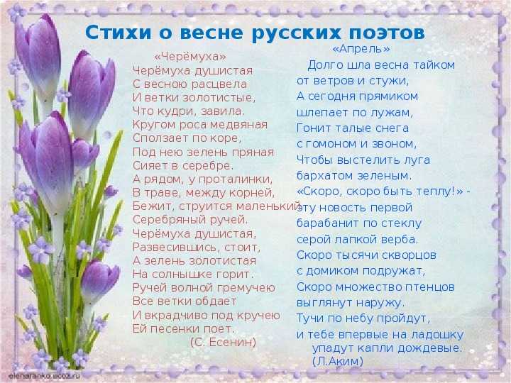 Красивые стихи про весну современных и русских поэтов классиков