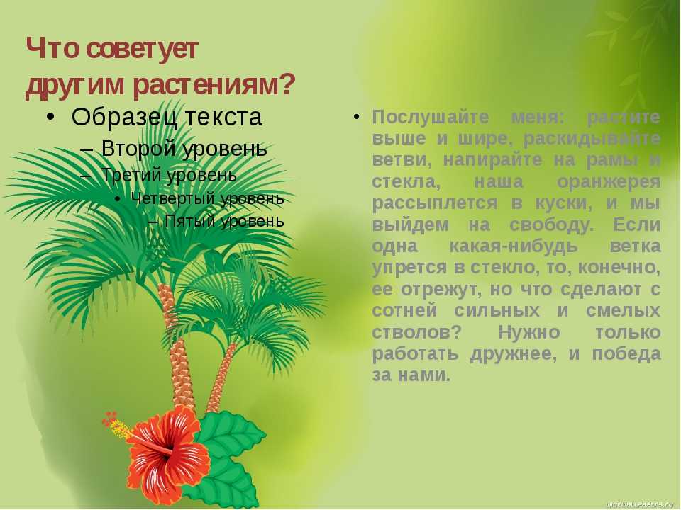 Сказка attalea princeps читать онлайн всеволод гаршин