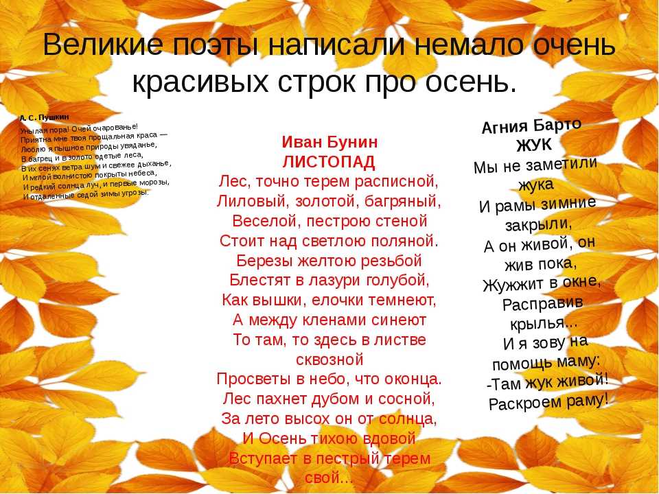 100 лучших детских стихов по осень: короткие, красивые, веселые и смешные стихи для детей 3-4, 4-5, 5-6 лет
