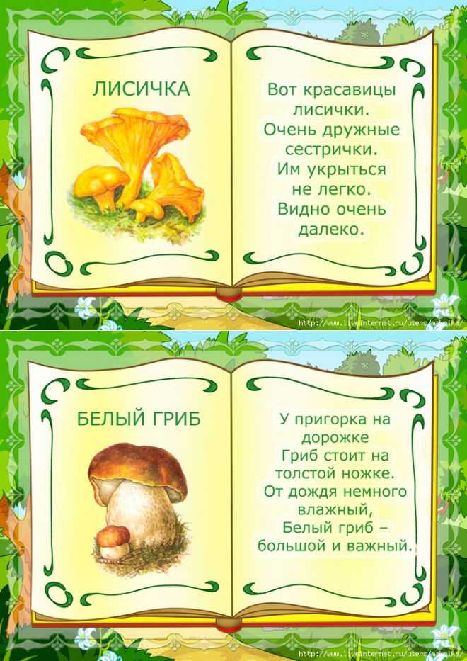 Тексты для чтения о грибах
