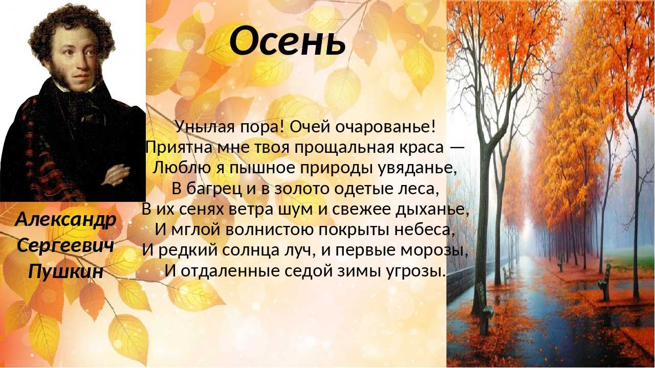 Стихи про осень. осенние стихи. стихотворения для детей