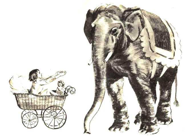 Смысл рассказа "слон" куприна | какой смысл