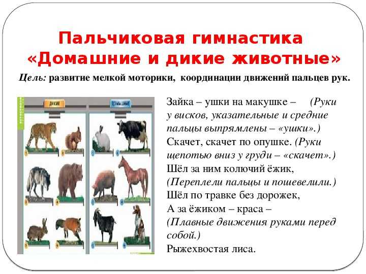 Медвежата — чарушин е. читать онлайн или скачать pdf и doc