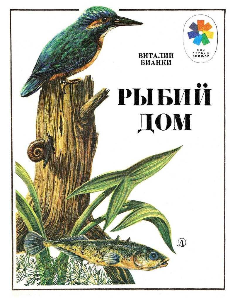 Рыбий дом - сказки бианки: читать с картинками, иллюстрациями - сказка dy9.ru