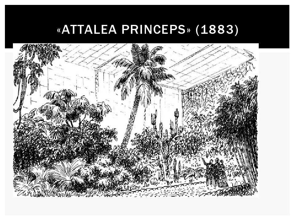 Всеволод гаршин - аttalea princeps » книги читать онлайн бесплатно без регистрации