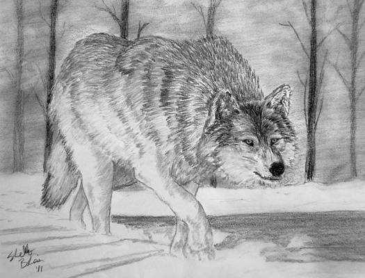 Краткое содержание рассказа виннипегский волк сетона-томпсона