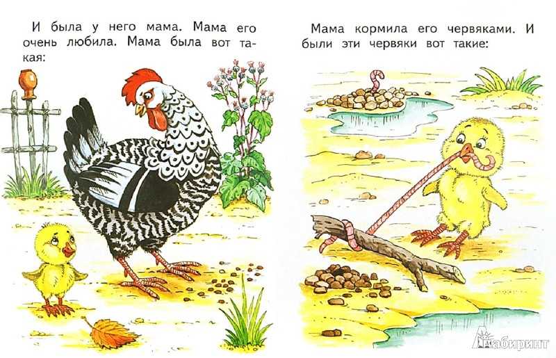 Сказка цыпленок чуковского читать