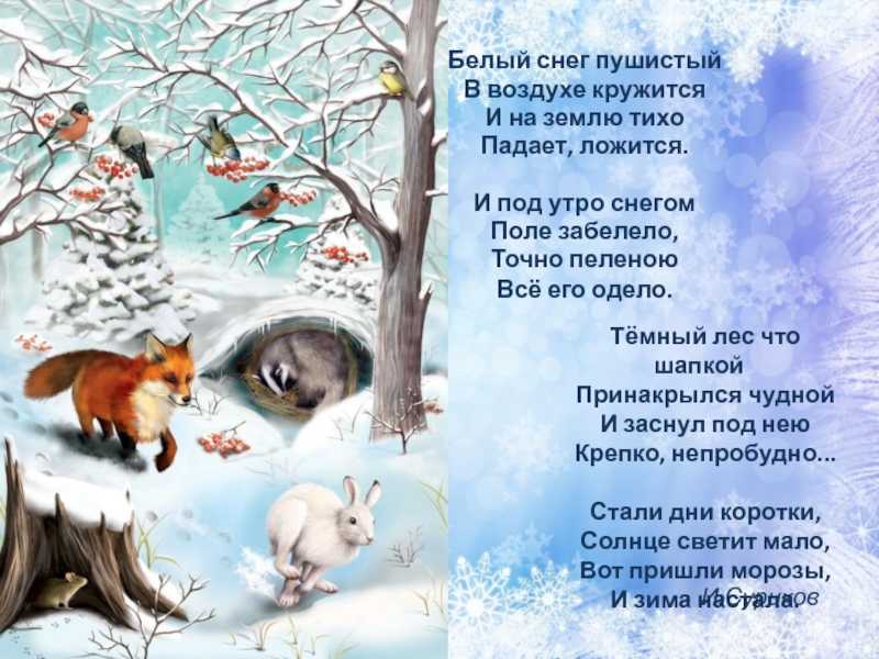 Иван суриков зима стих читать