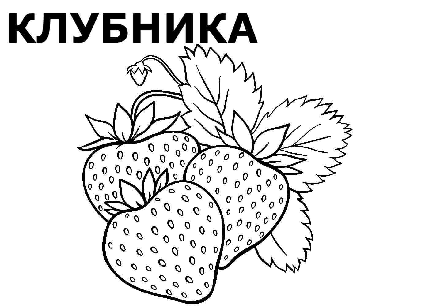 Детям о ягодах ✅ блог iqsha.ru