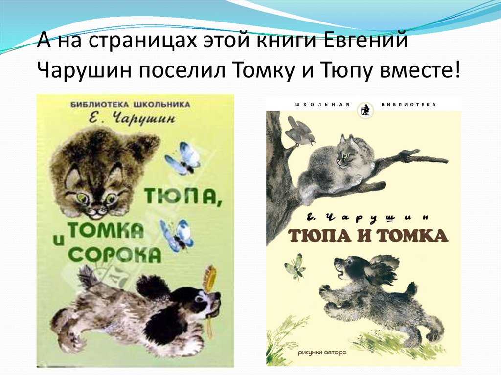 Чарушин е. и. рассказы о животных для детей