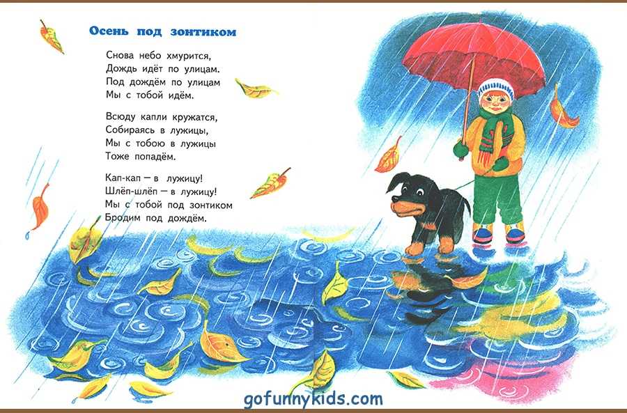 Стихи про дождик для детей: 65 лучших стихов