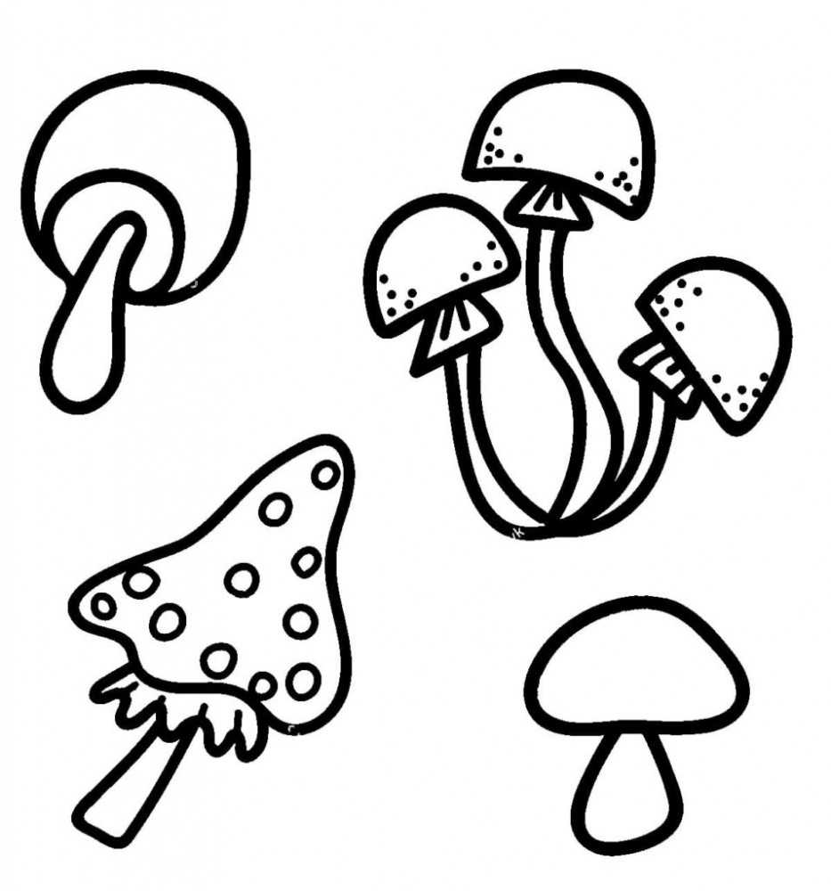 Раскраски Грибы для детей 3-10 лет Раскраски с весёлыми грибами для малышей и более детальными грибами для детей постарше Разные виды грибов