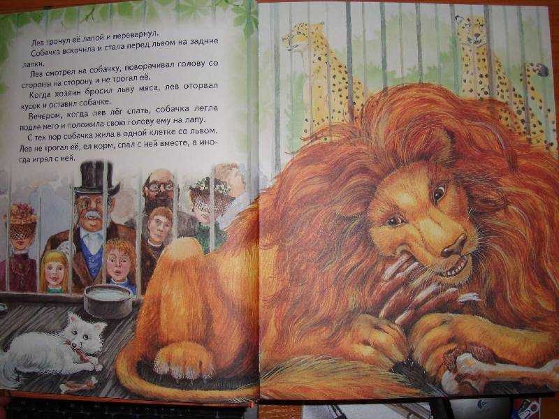 Рассказ толстого «лев и собачка» для читательского дневника
