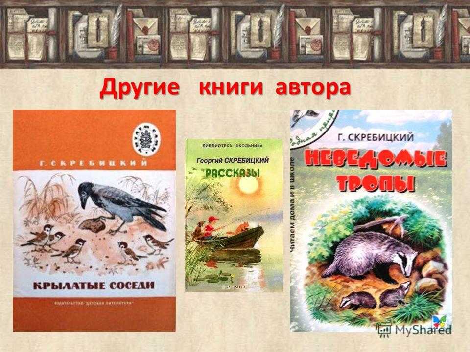 Рассказы о зиме и о животных зимой