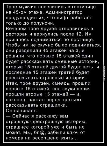 Книга сказки о хоме и суслике и другие истории читать онлайн бесплатно, автор альберт иванов – fictionbook