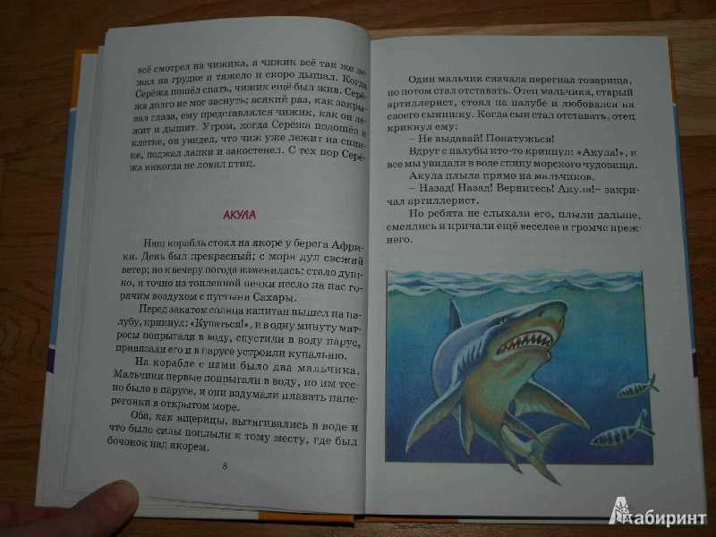 «акула» краткое содержание для читательского дневника по рассказу толстого (3 класс) – сюжет, пословицы, план пересказа, главная мысль