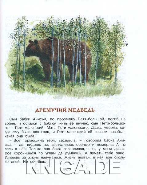 Дремучий медведь - паустовский константин георгиевич - страница 1