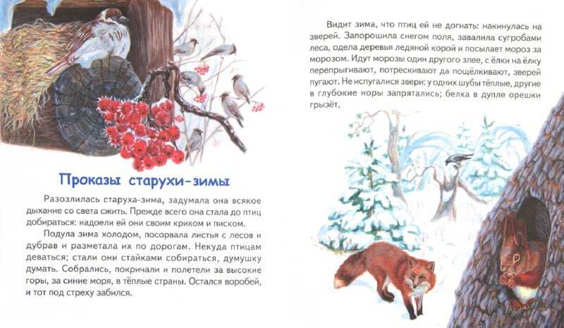 Сочинение «зимние забавы» методическая разработка по русскому языку (4 класс) по теме