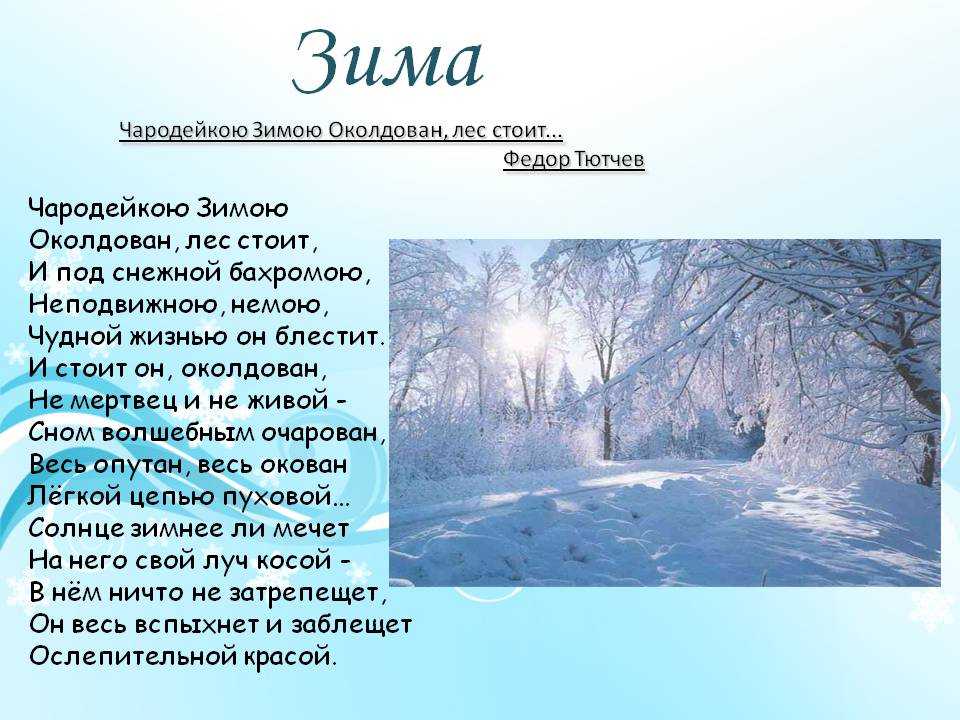 Стихотворение про зиму русских поэтов для детей и взрослых | красивые стихи о зиме