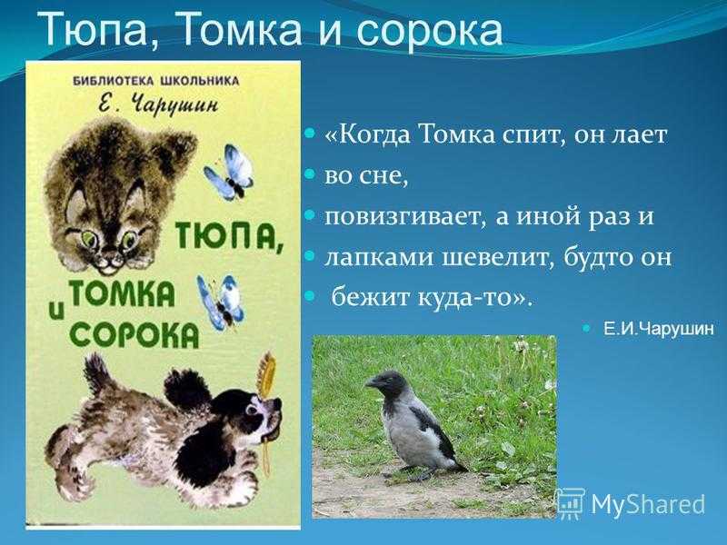 Про Томку - Чарушин ЕИ Маленькие рассказы про собачку Томку, которую взяли щенком у охотничьей собаки о том, как он познавал окружающий мир