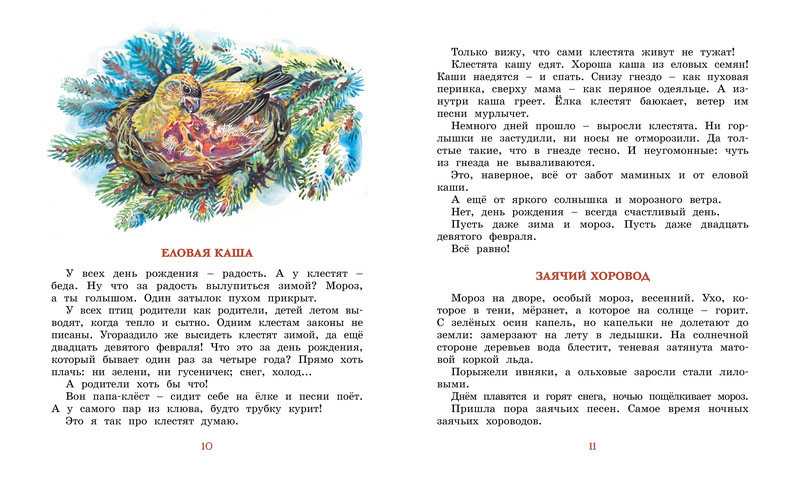Как выглядит птенец дрозда (фото)? как выкормить птенца дрозда? :: syl.ru
