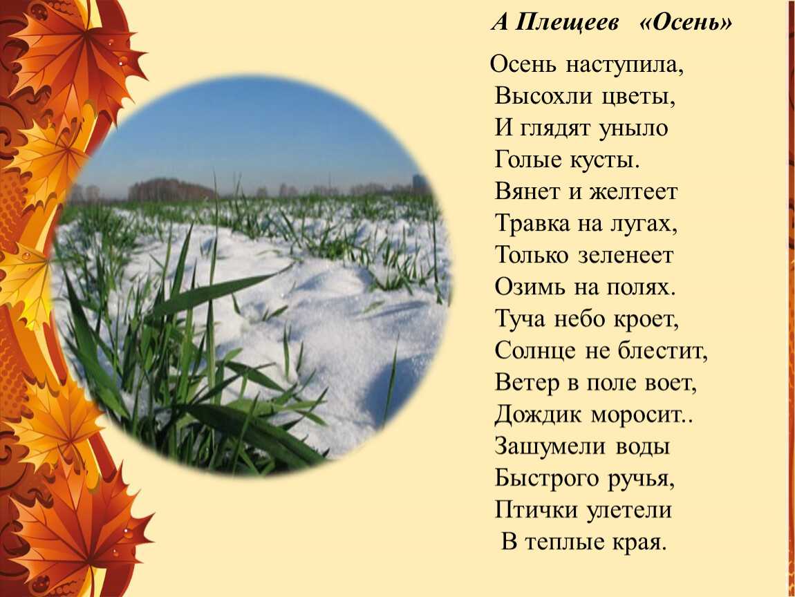 Загадки чуковского - стихи для детей
