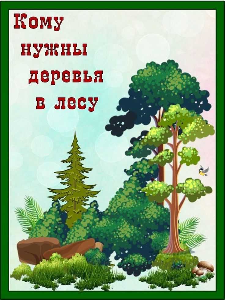 Конспект занятия «чтение рассказа к. ушинского «спор деревьев». воспитателям детских садов, школьным учителям и педагогам