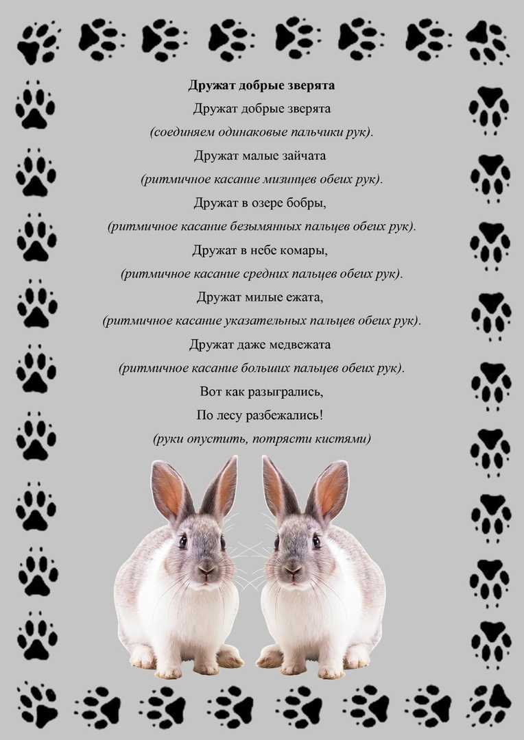 Медвежата — чарушин е.